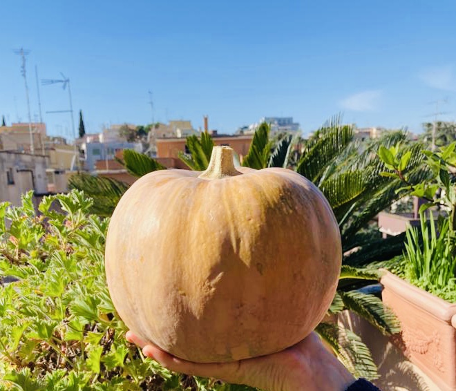 Halloween 2020, senza dolcetto o scherzetto